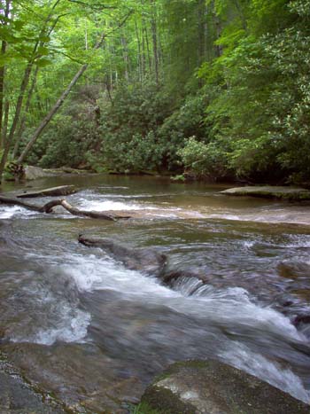 A high resolution version of this image is available for sale. Send an email to info@mtnrental.com for details. One of many streams and waterfalls